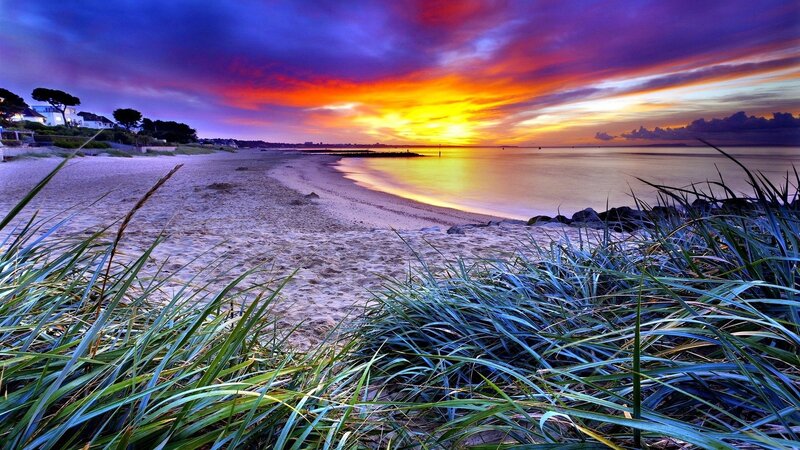 Beach at Sunset — Purple, Dramatic, Photograph, Sand, Grass