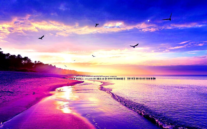 Beach at Sunset — Purple, Serene, Photograph, Birds