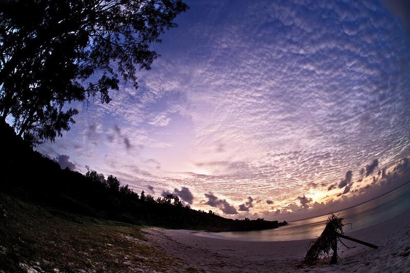 Beach at Sunset — Purple, Serene, Photograph, Trees