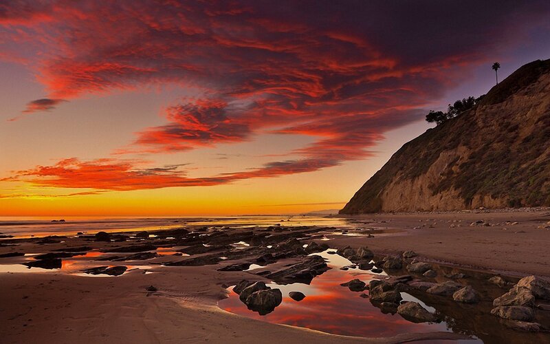 Beach at Sunset — Red, Dramatic, Photograph, Cliff, Palm Tree