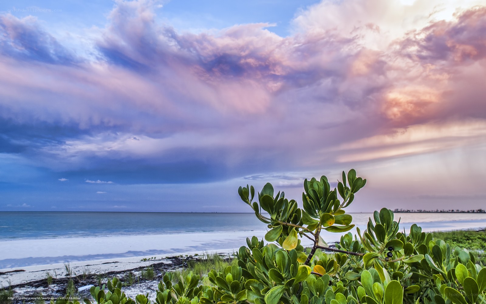 Beach at sunset with pink clouds