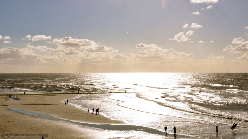 Beach at sunset with surfers