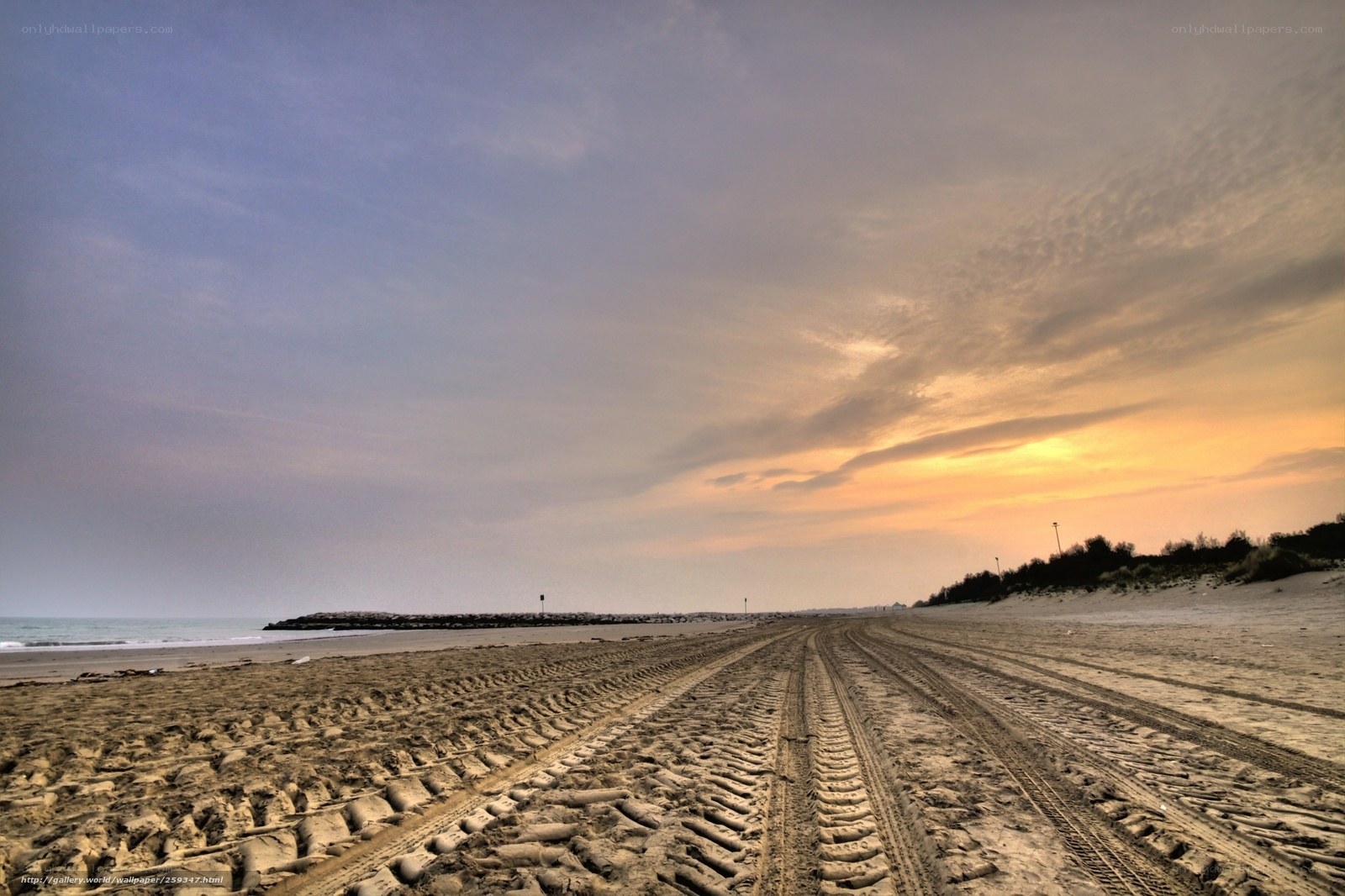 Beach at sunset with tire tracks