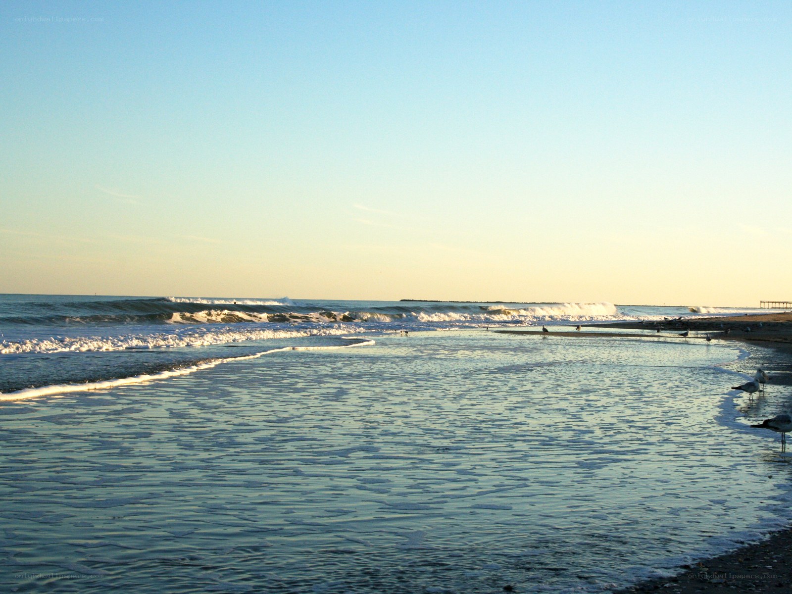 beach at sunset with waves