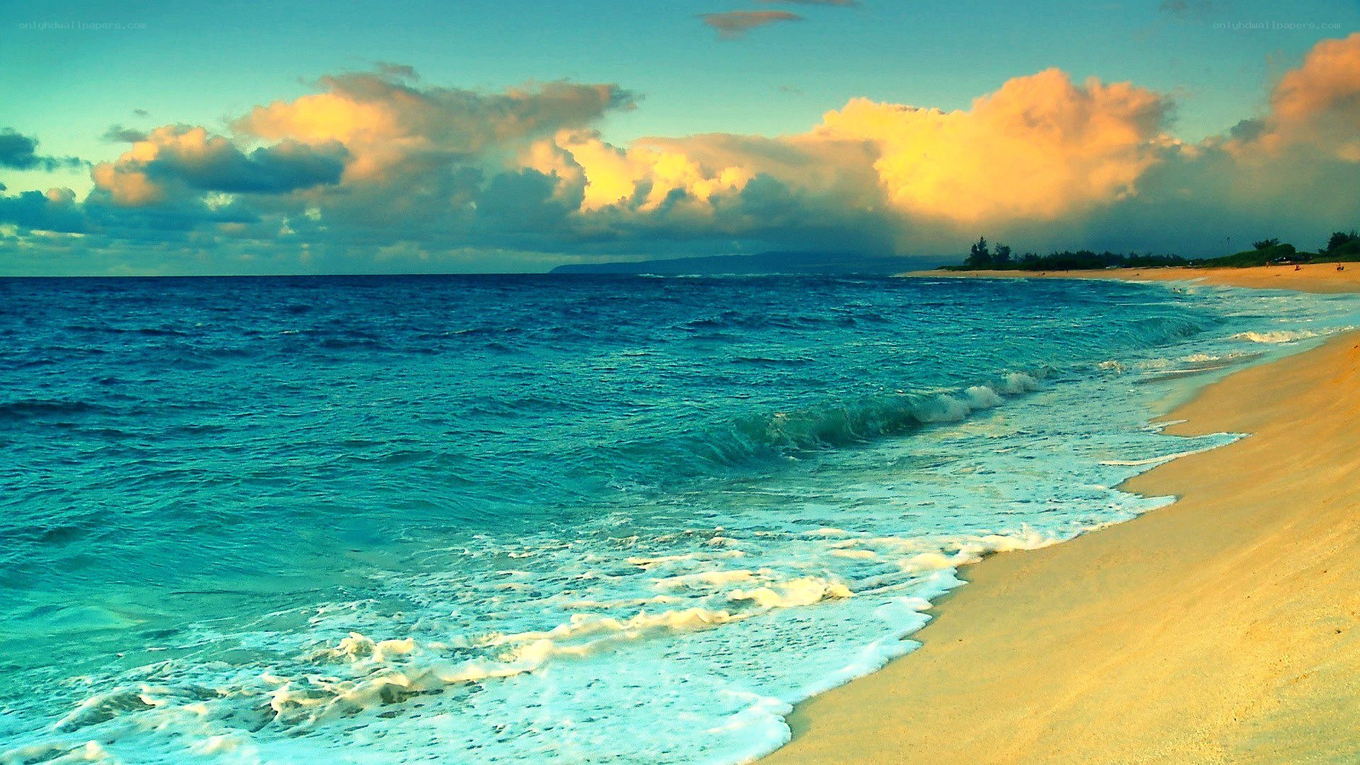 beach at sunset with waves