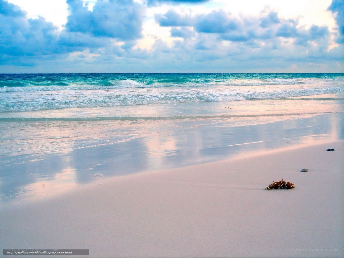 beach at sunset with waves