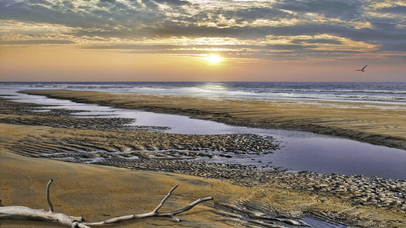 Beach at Sunset — Yellow, Serene, Photograph, Driftwood