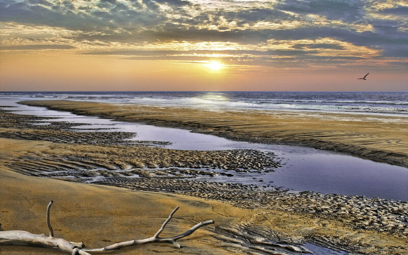 Beach at Sunset — Yellow, Serene, Photograph
