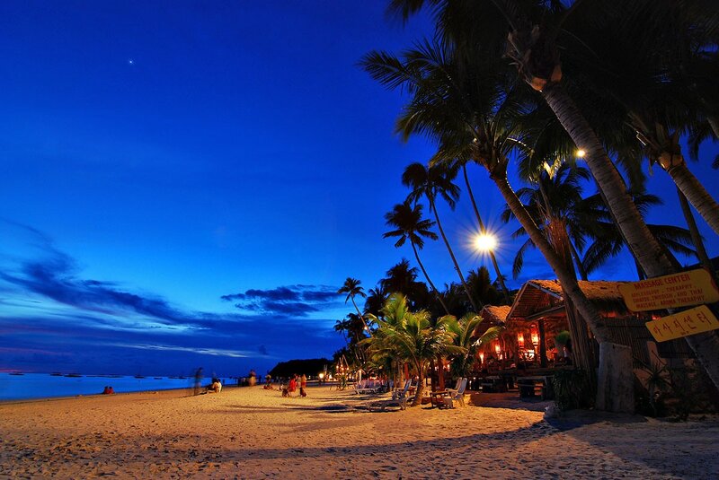 Beach at Twilight — Blue, Serene, Night, Photograph, Palm Trees
