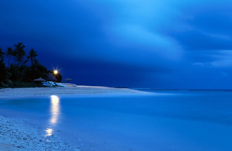 Beach at twilight with palm trees