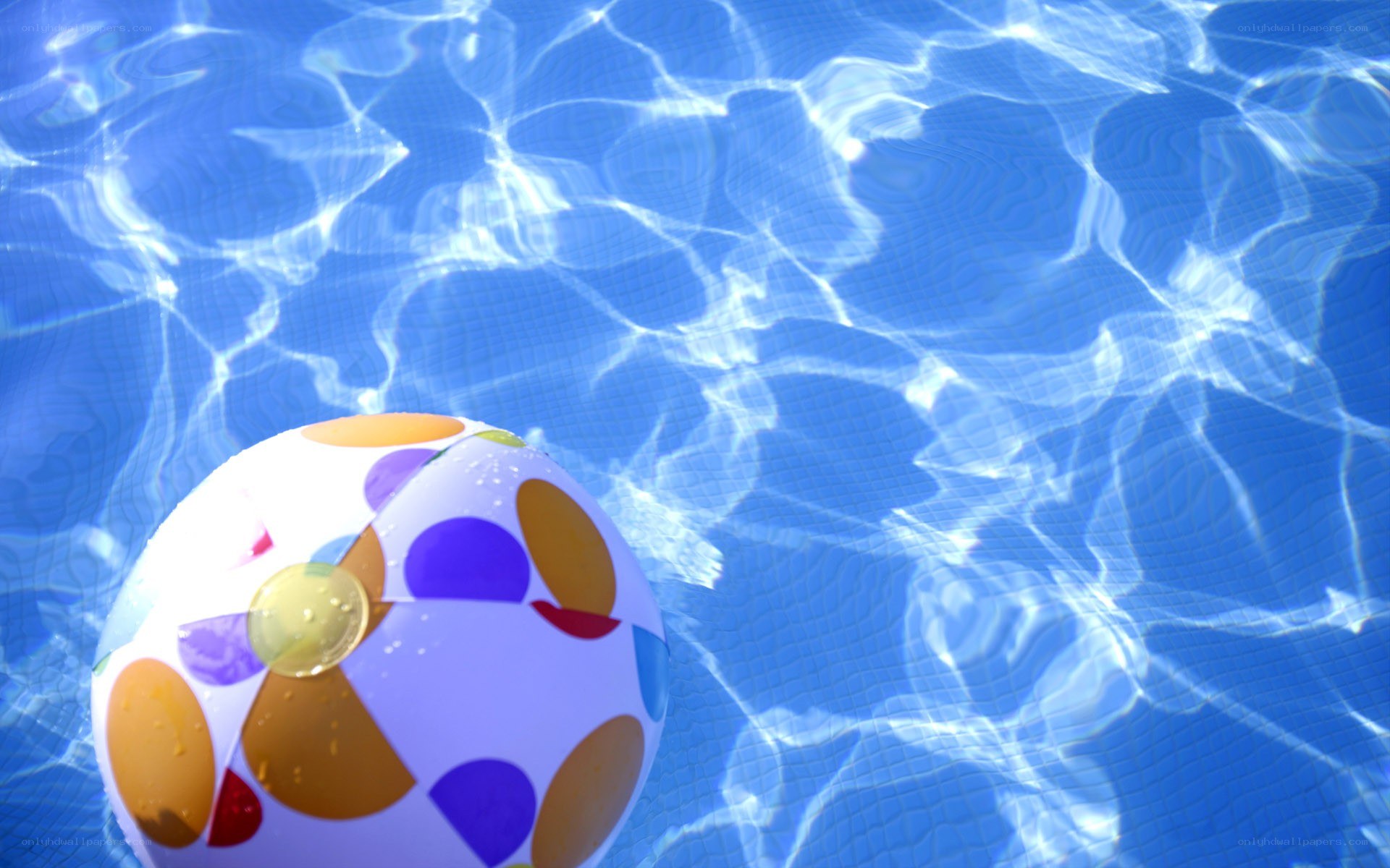 beach ball in swimming pool