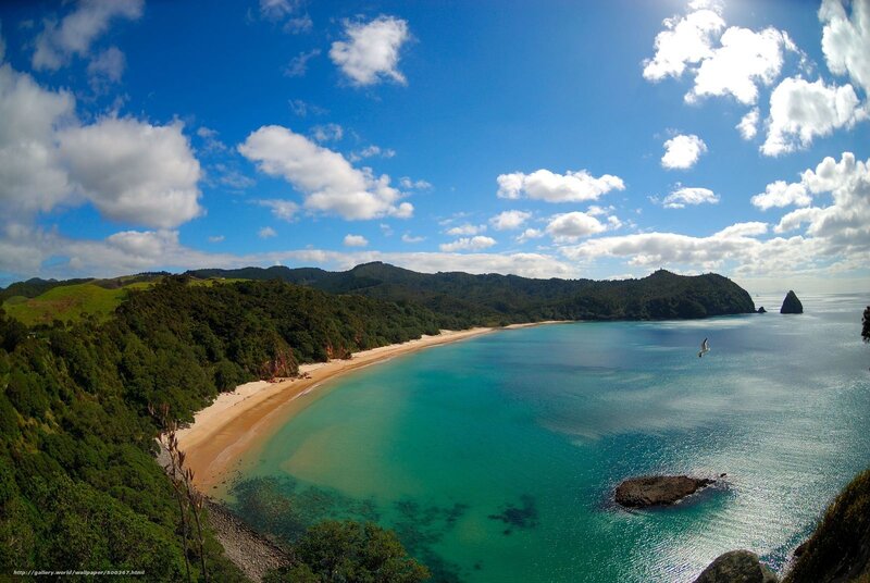 beach bay landscape