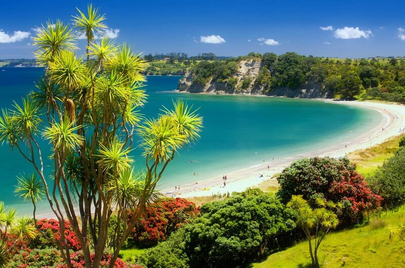 Beach Bay with Palm Trees