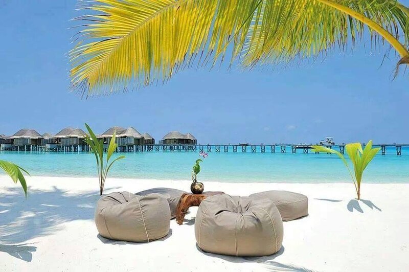 Beach Bean Bags