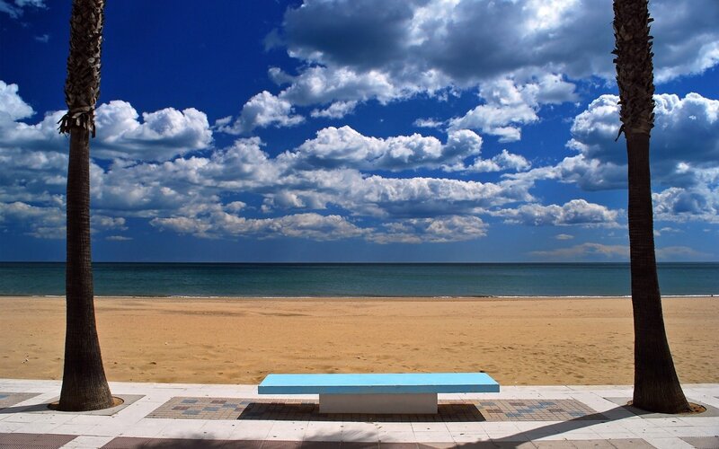 Beach bench between palm trees
