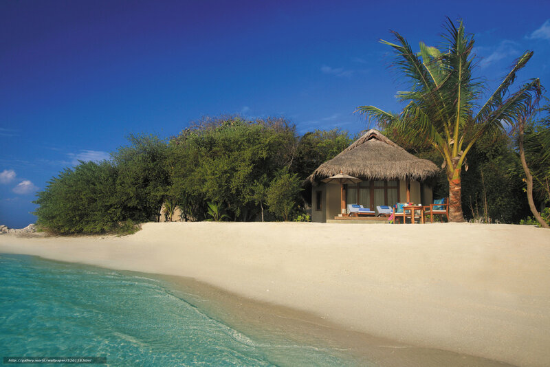 Beach bungalow with palm tree