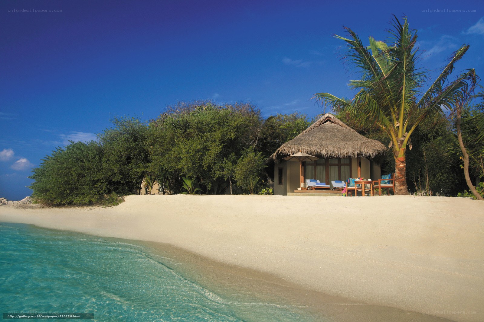 Beach bungalow with palm tree