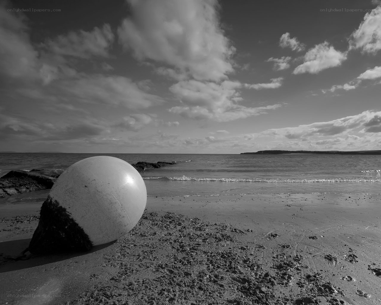 beach buoy on shore