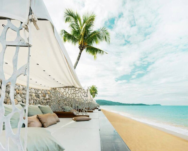 Beach Cabana with Palm Tree