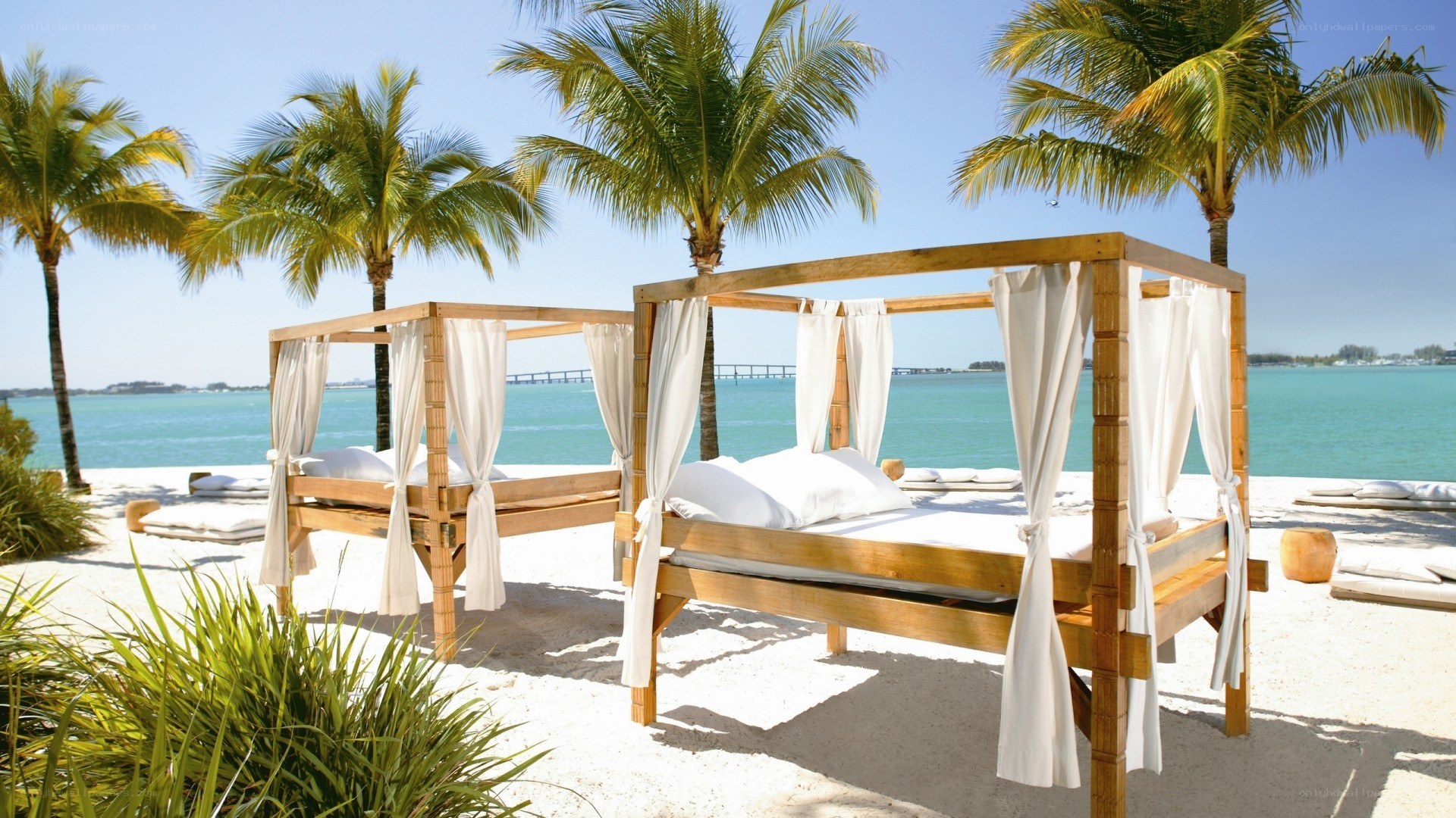 Beach cabanas with palm trees