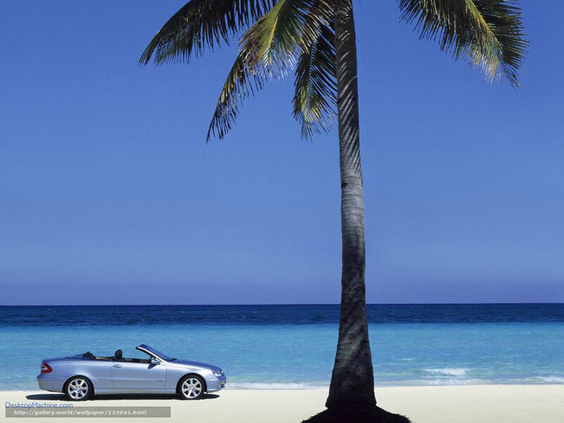 Beach car under palm tree