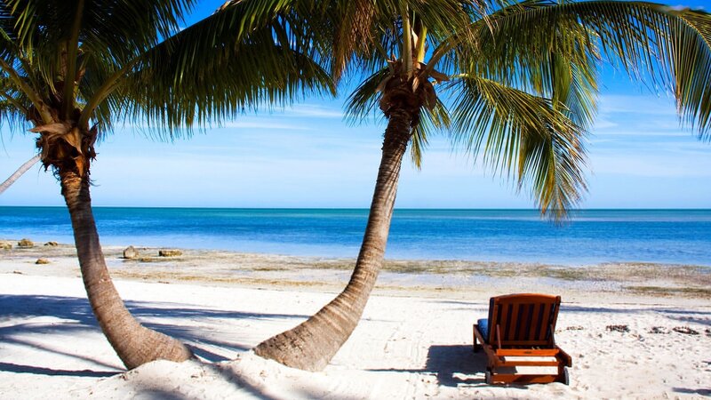 Beach Chair under Palm Trees