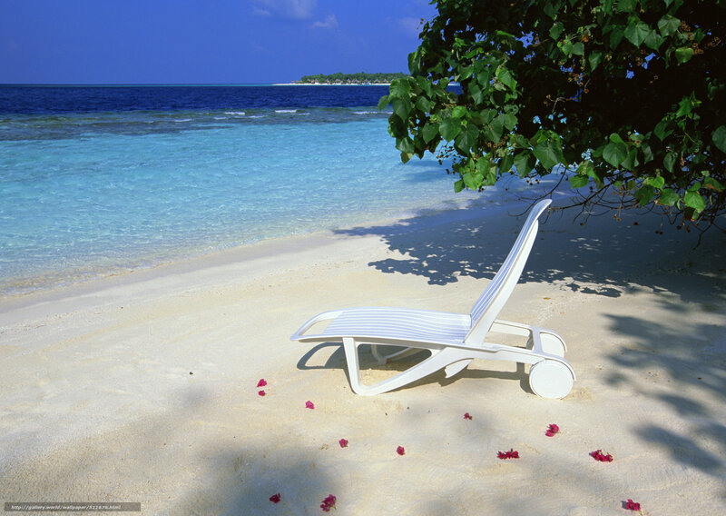 Beach chair under tree