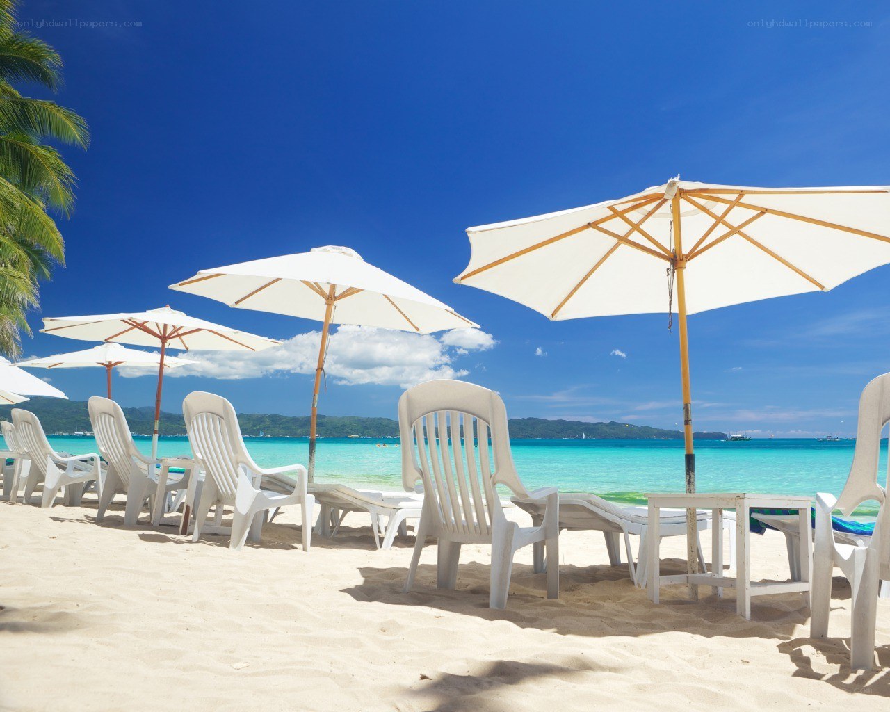 Beach chairs and umbrellas