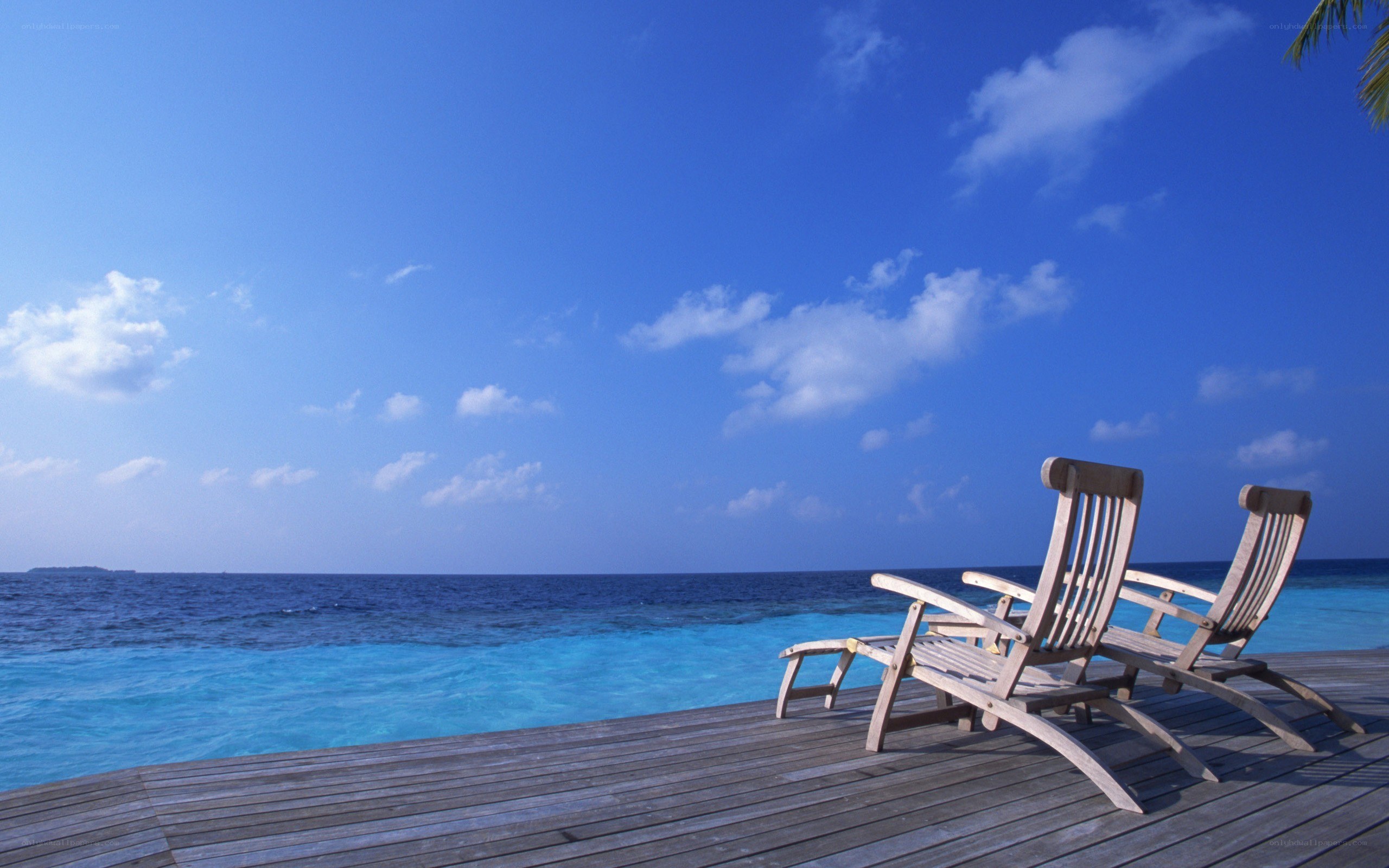 Beach chairs by the ocean