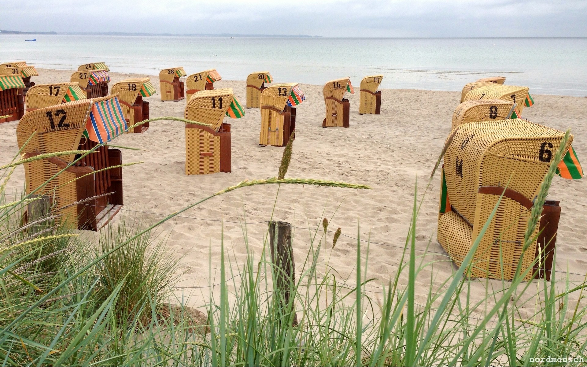 Beach chairs on a sandy shore