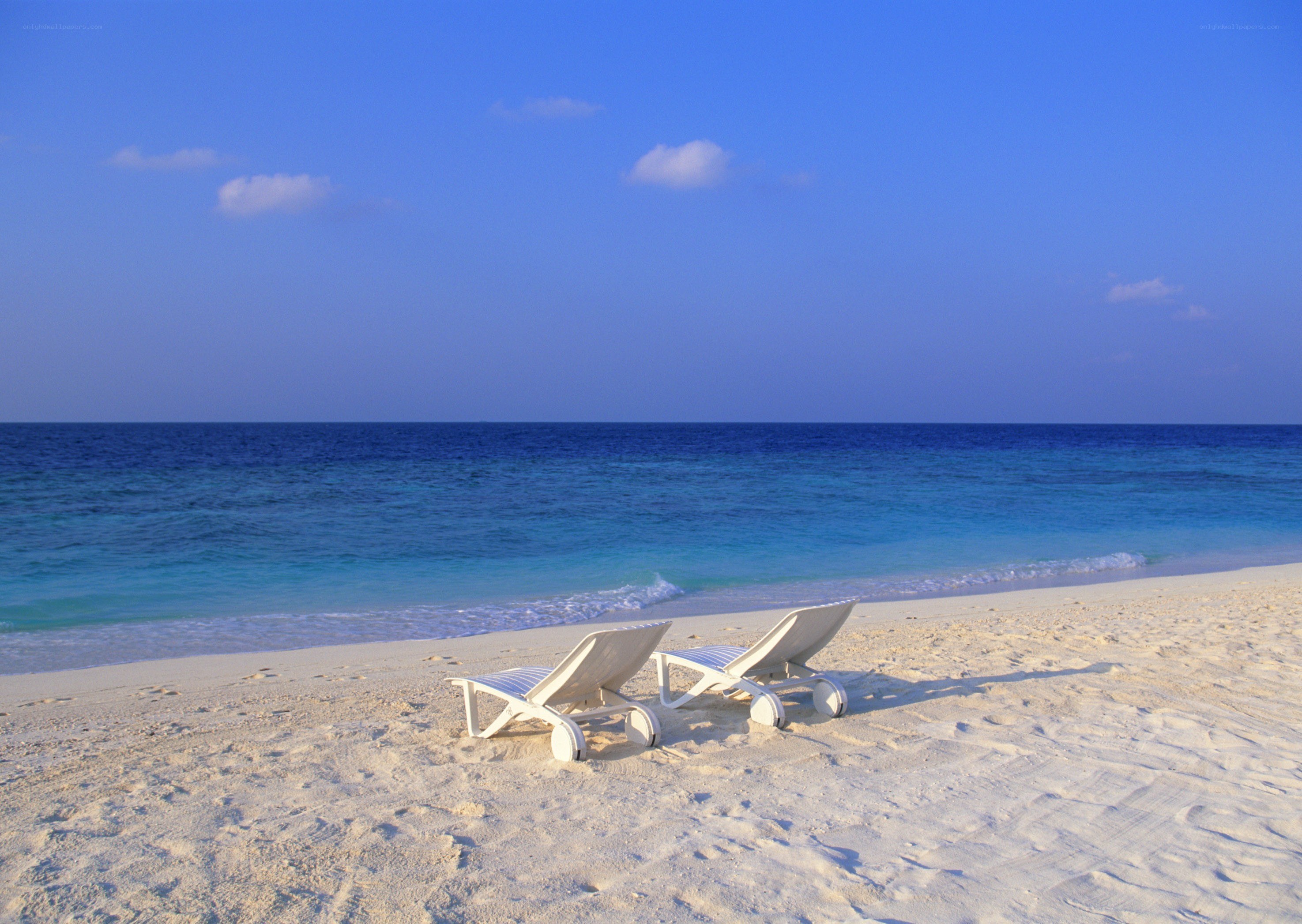 Beach chairs on a tropical shore
