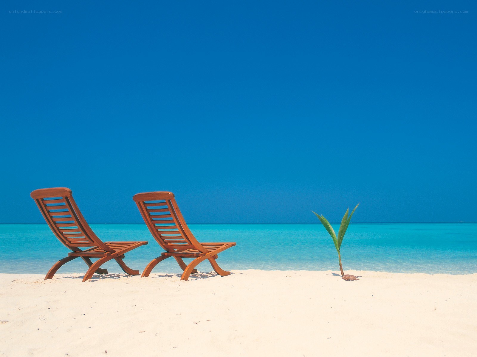 Beach chairs on tropical shore