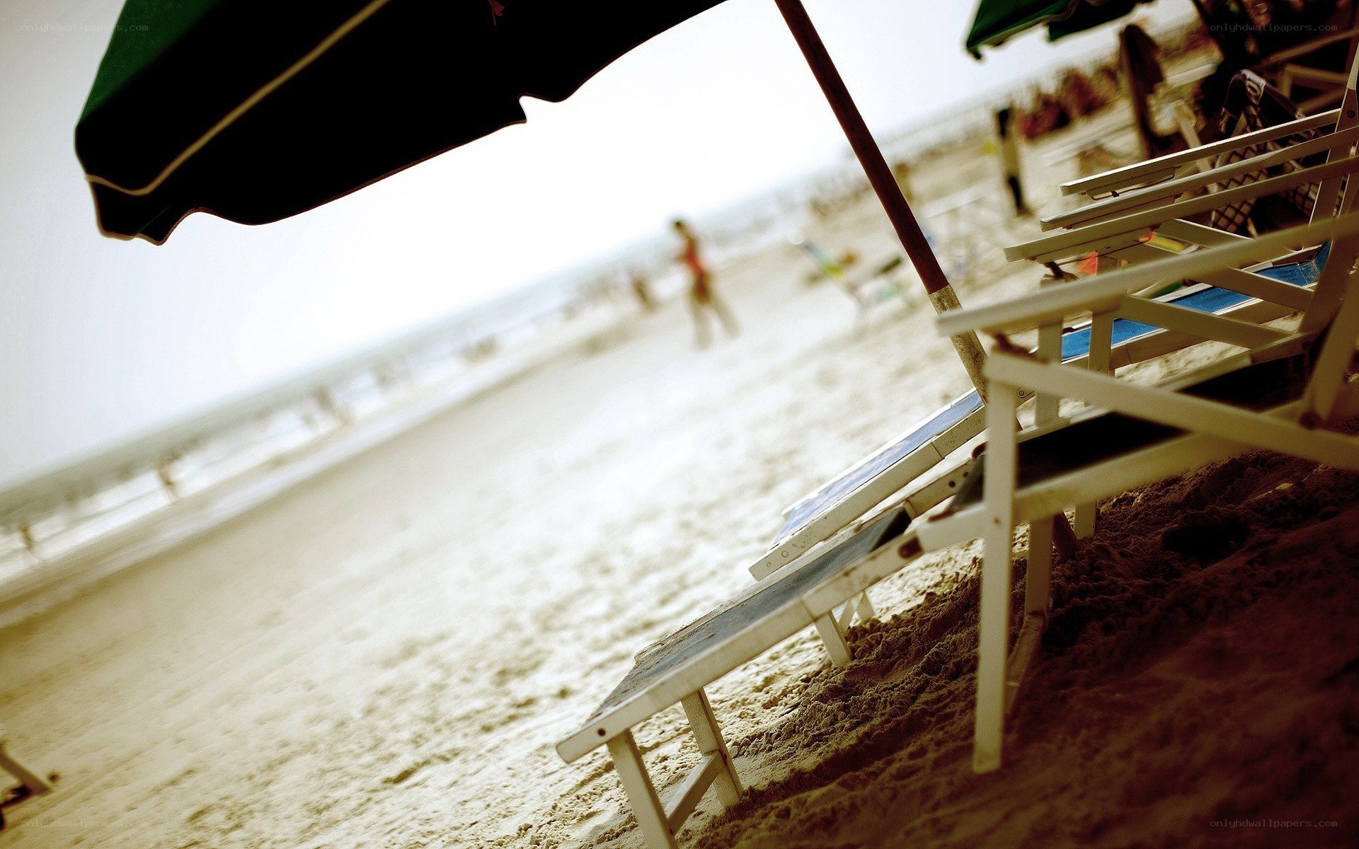 Beach chairs under an umbrella