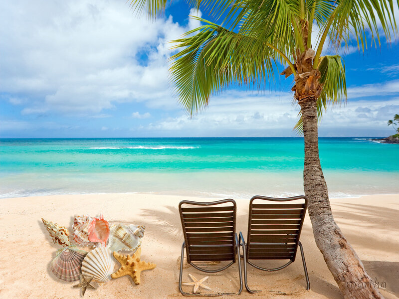 Beach Chairs under Palm Tree — Blue, Serene