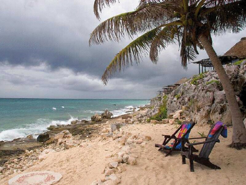 Beach Chairs under Palm Tree — Blue