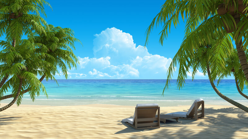 Beach Chairs under Palm Trees — Blue