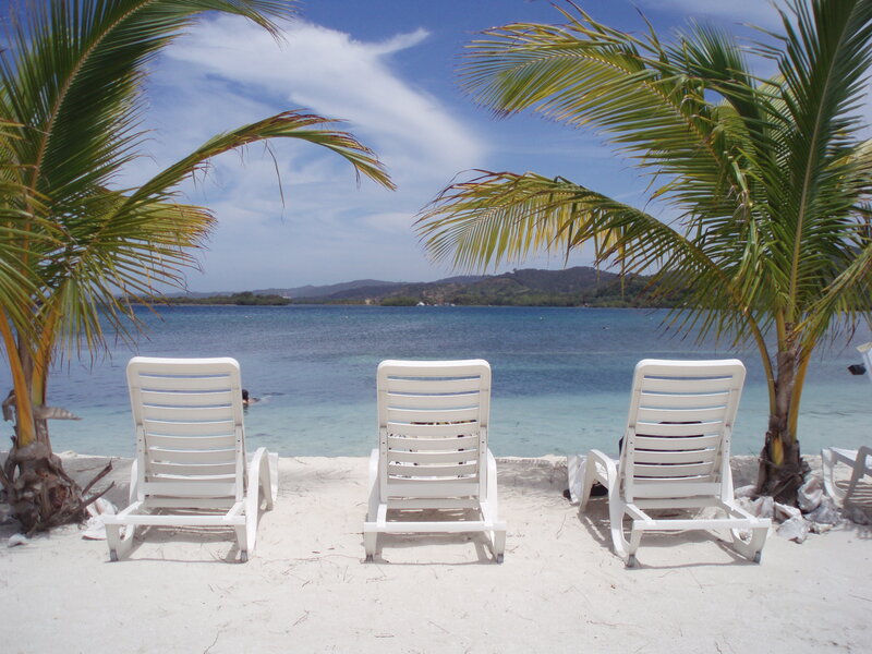 Beach chairs under palm trees