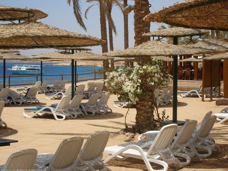 Beach chairs under straw umbrellas
