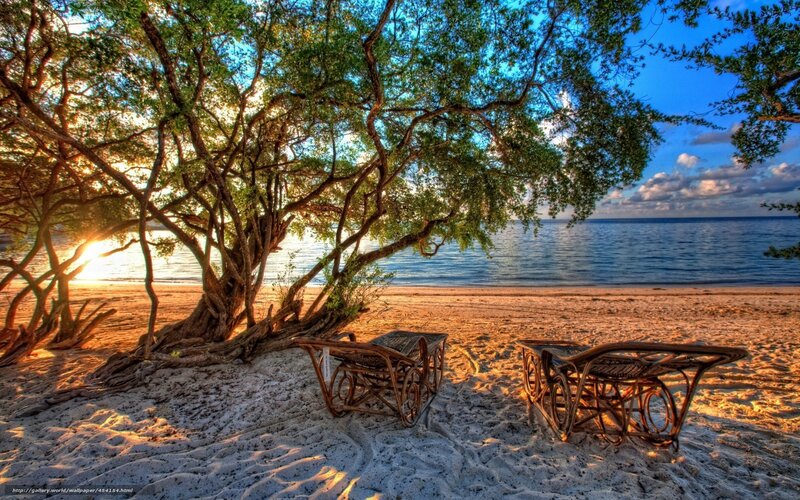 Beach Chairs under Tree — Blue, Serene, Sunset, Photograph
