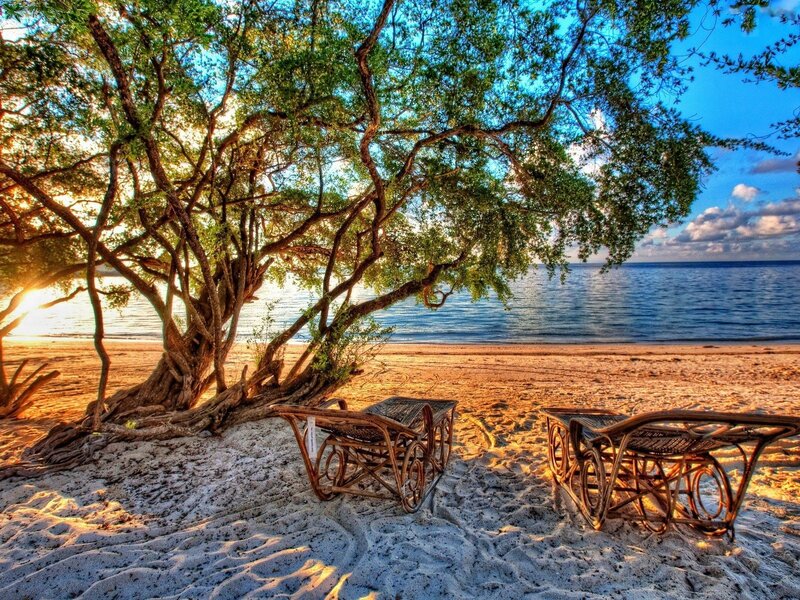 Beach Chairs under Tree — Blue, Serene, Sunset