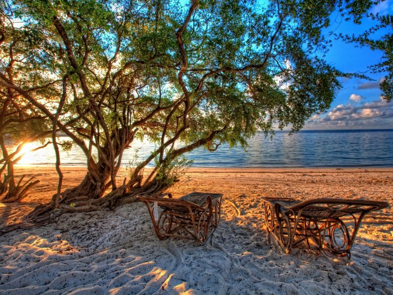 Beach Chairs under Tree — Blue