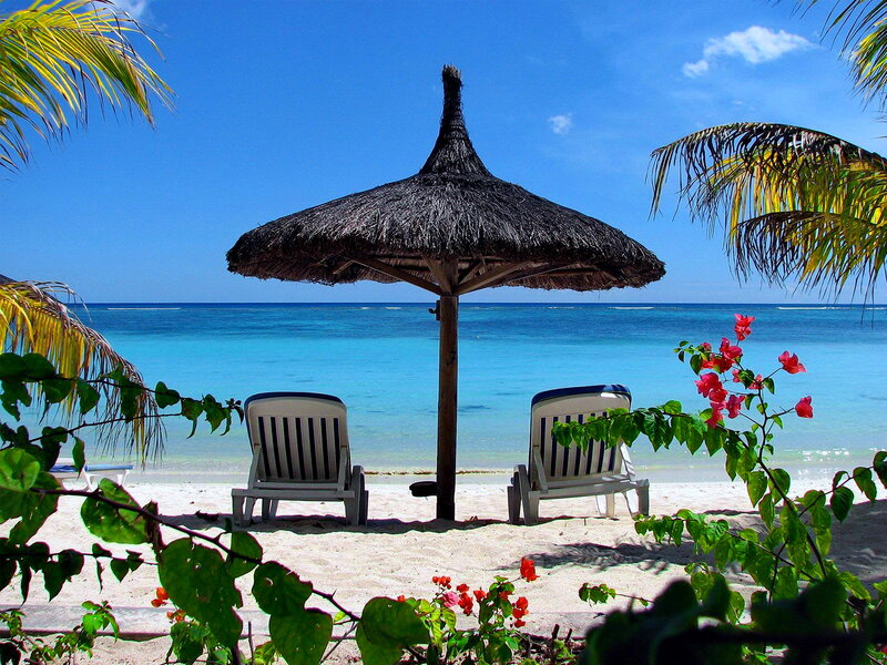Beach Chairs under Umbrella — Blue, Serene, Afternoon, Photograph, Ocean, Palm Trees