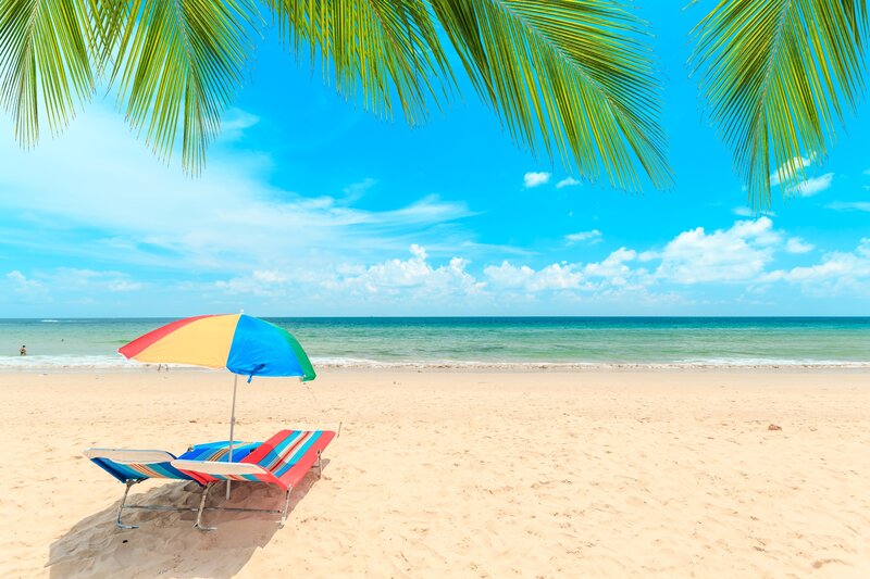 Beach Chairs under Umbrella — Blue, Serene, Afternoon, Photograph, Palm Fronds