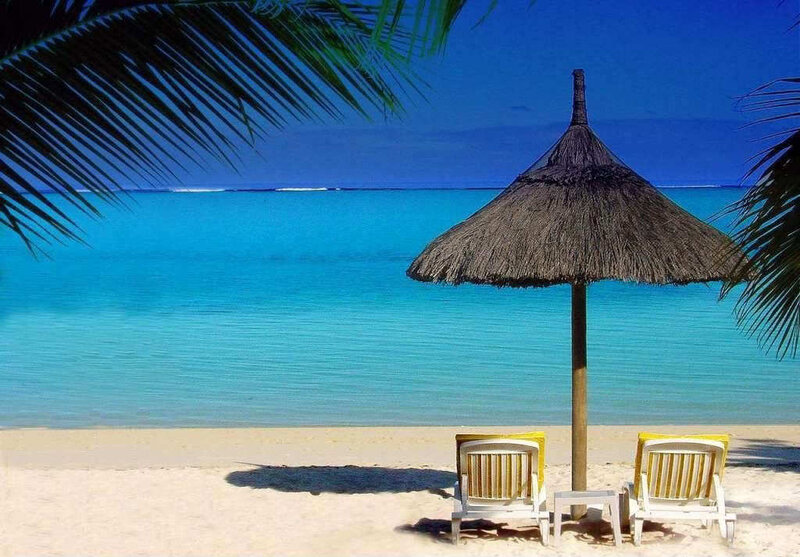 Beach Chairs under Umbrella — Blue, Serene, Afternoon, Photograph, Palm Tree, Ocean, White, Brown