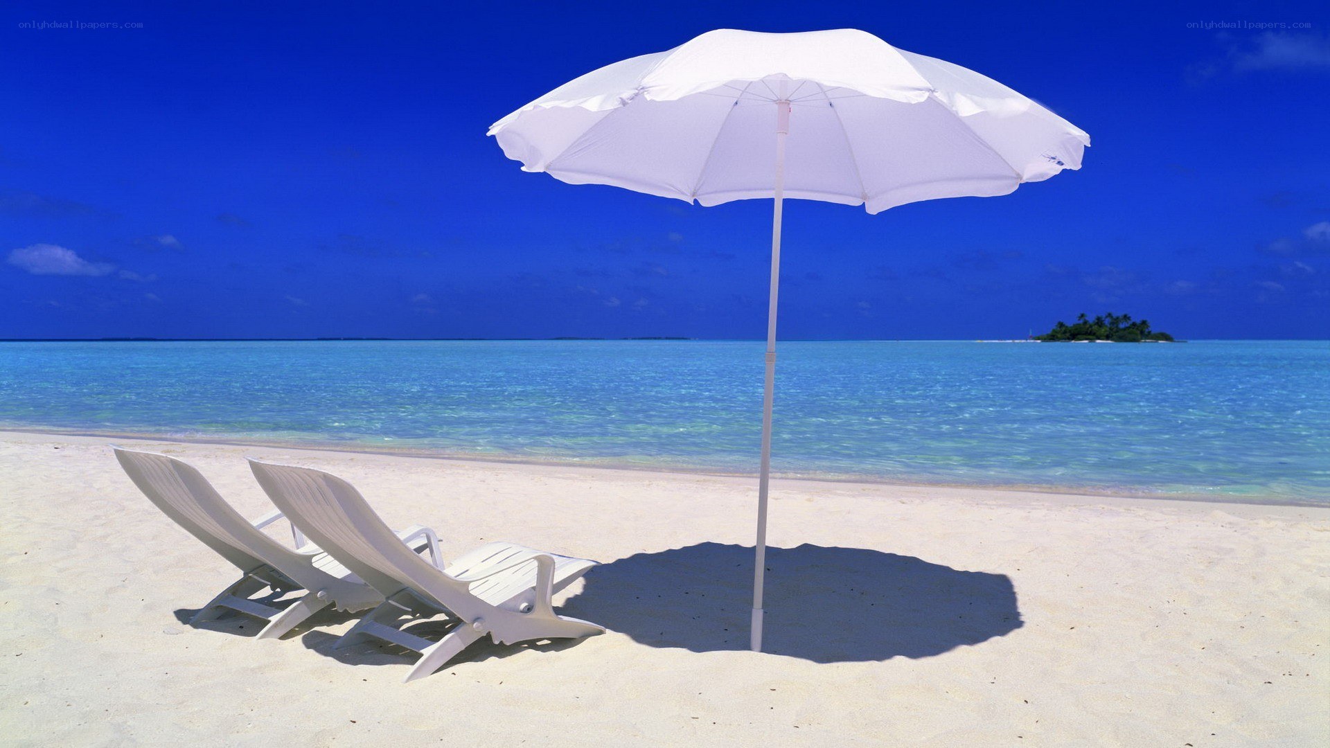 Beach chairs under umbrella