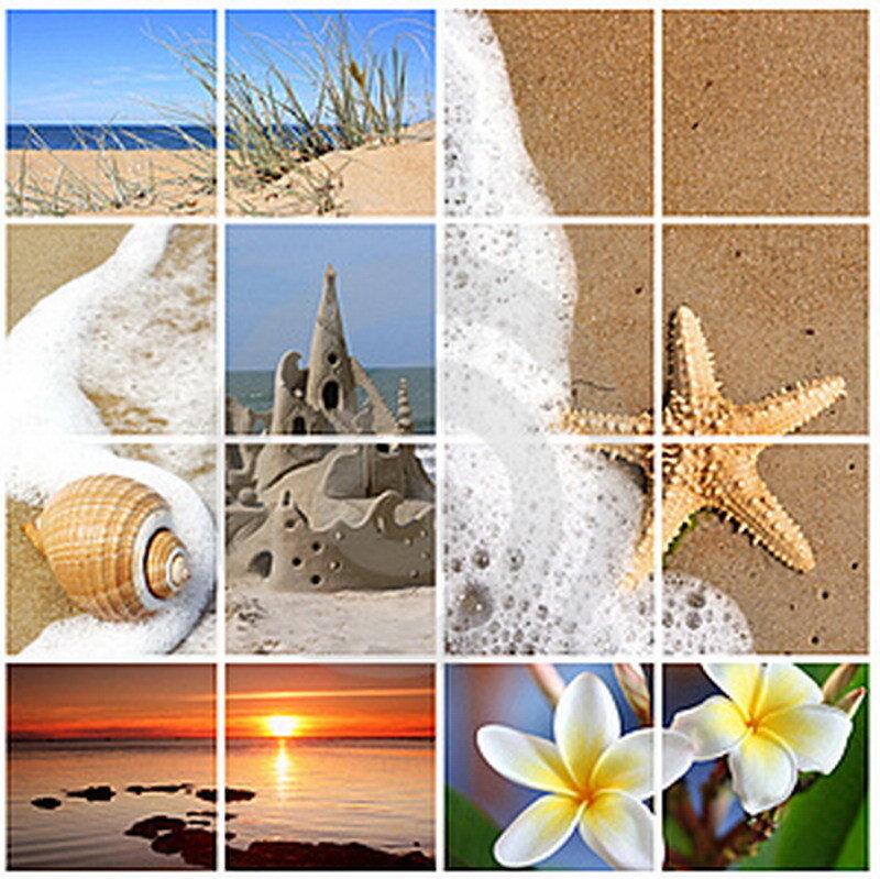 beach collage with seashells and sunset