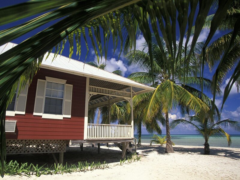 Beach cottage with palm trees