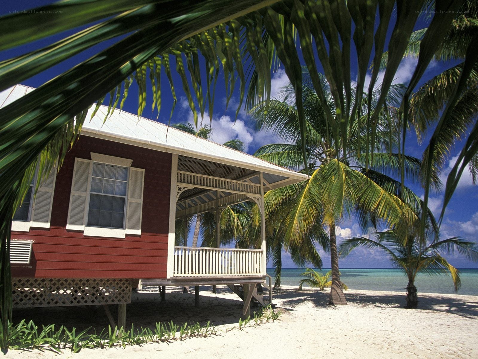 Beach cottage with palm trees