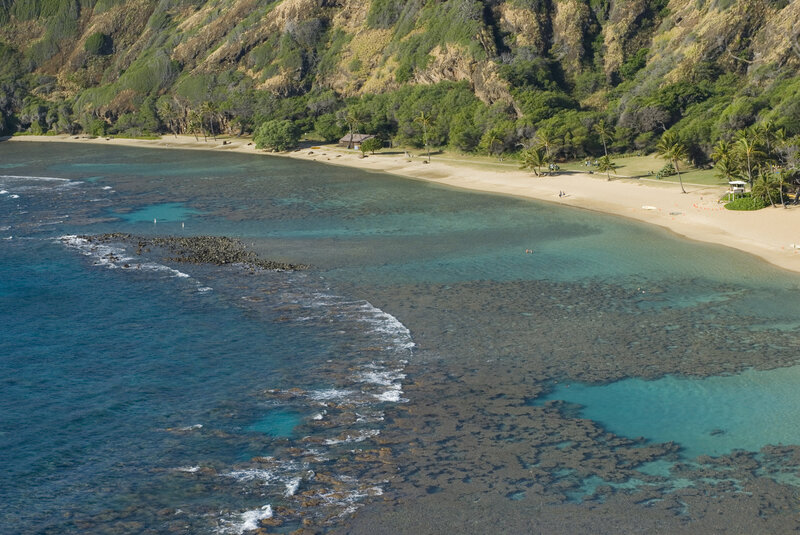 Beach Cove with Coral Reef
