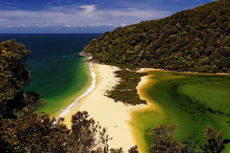 beach cove with green water